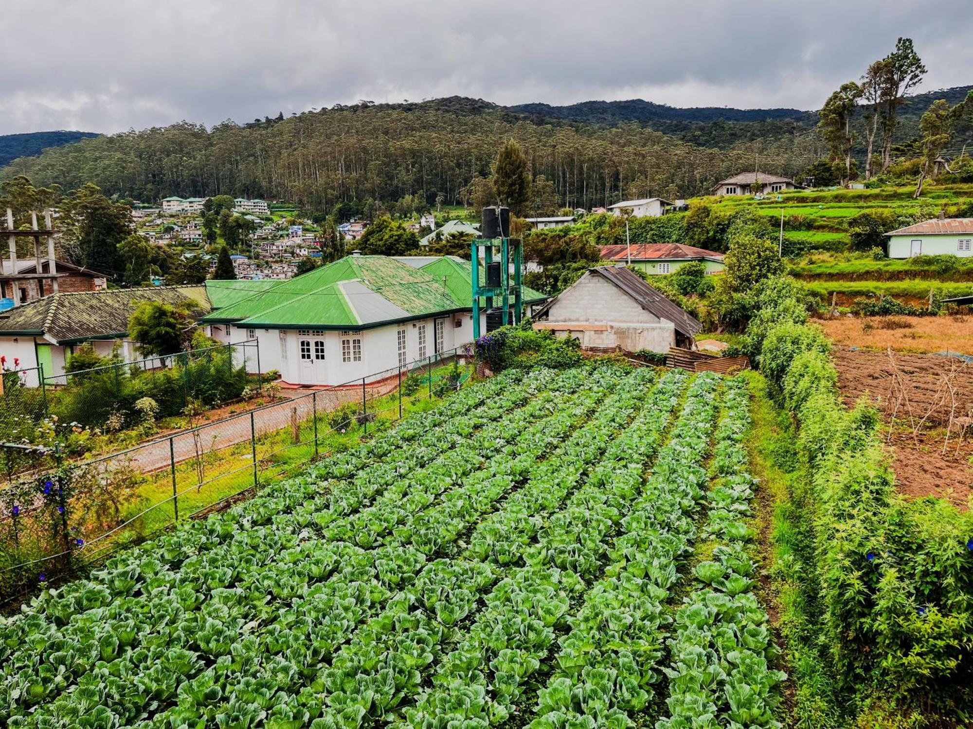 Selis Manor Lägenhet Nuwara Eliya Exteriör bild